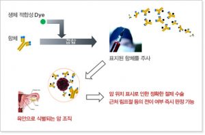 mass spectrometry analysis, polyacrylamide gel electrophoresis